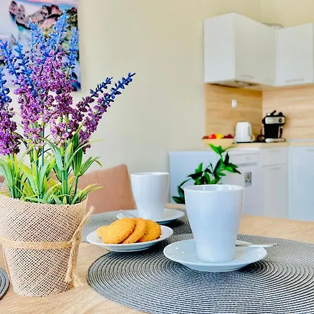 Attractive Family In Sunny Cascadas Family * ساني بيتش